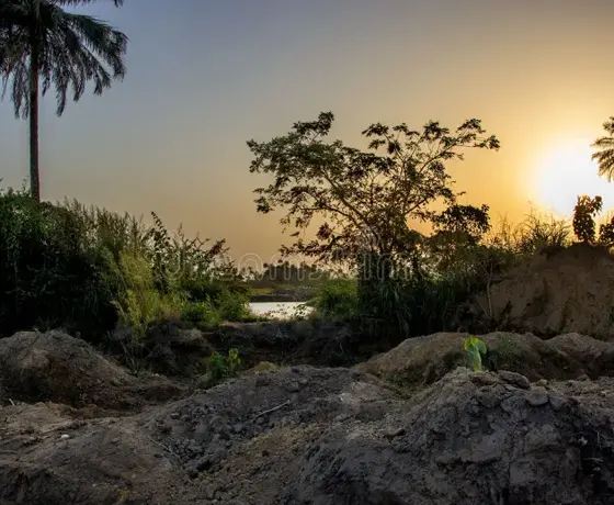 Conakry Cheap Flights